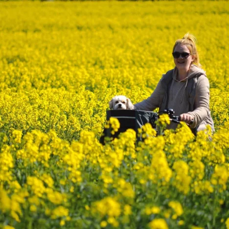Zimowe kurorty marzeń – najlepsze miejsca na ferie w górach
