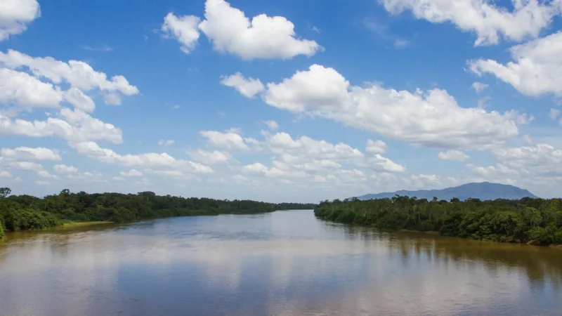 Amazonia bez tajemnic: Egzotyczna wyprawa do serca dżungli